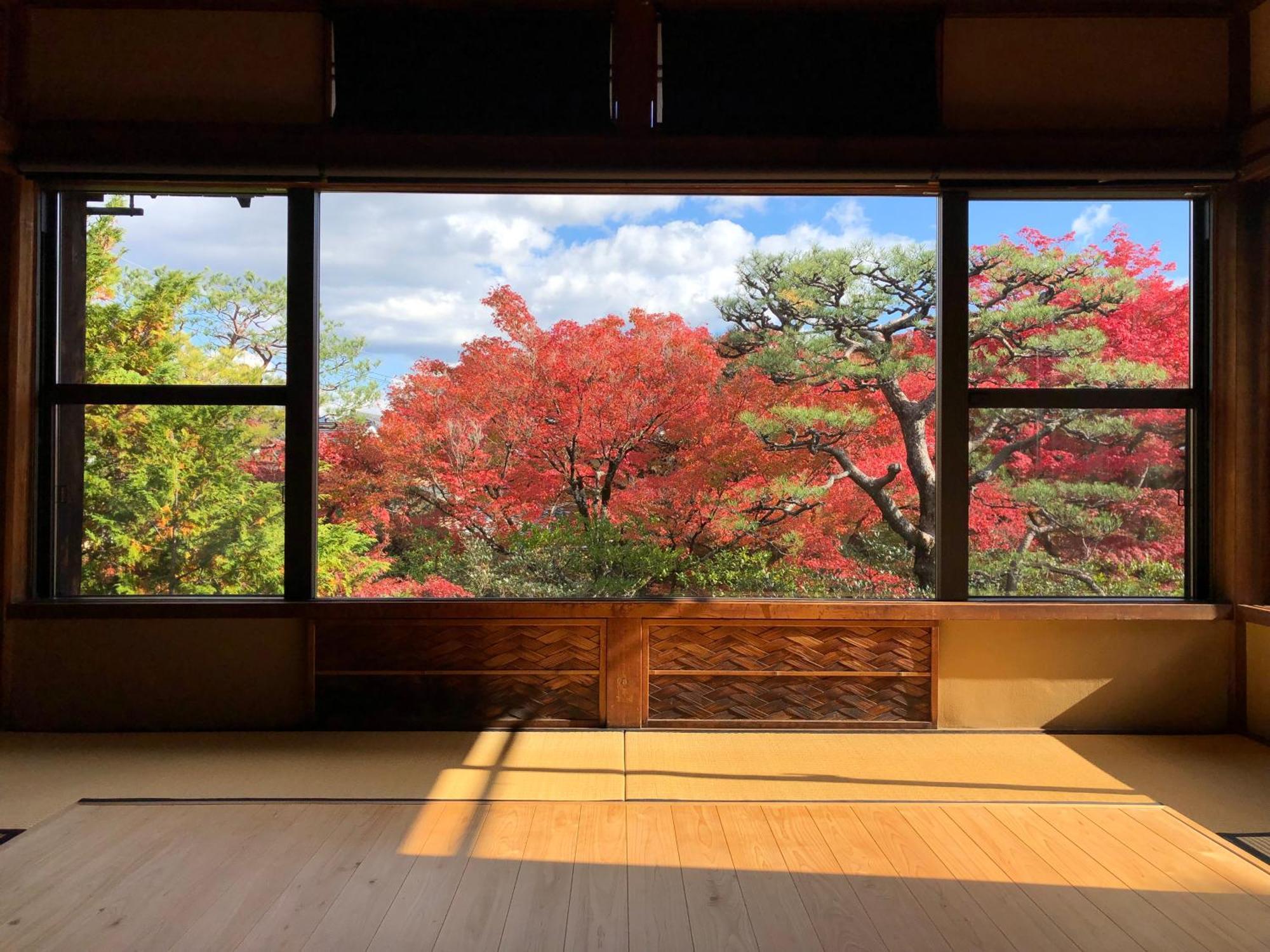 伝心庵 Garden Denshin-an Quioto
