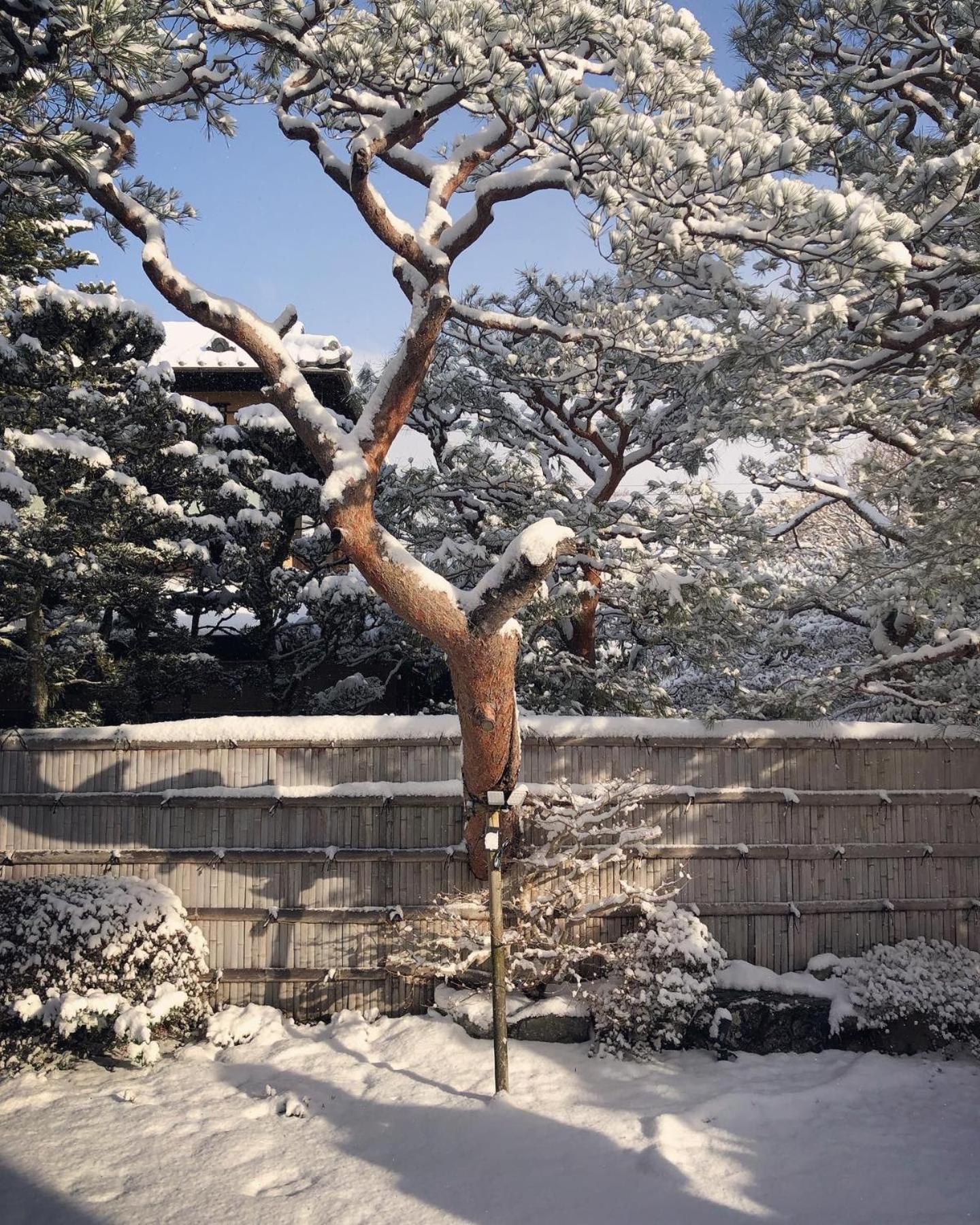 伝心庵 Garden Denshin-an * Quioto