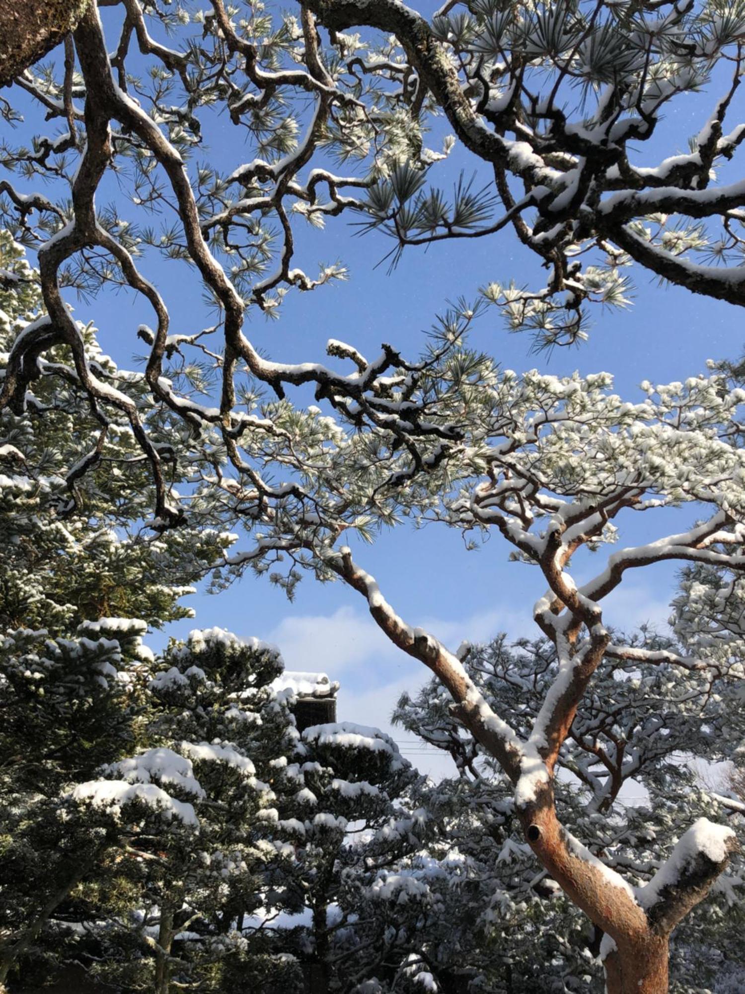 伝心庵 Garden Denshin-an Casa de férias