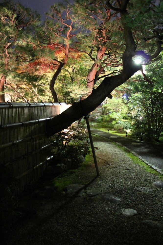 伝心庵 Garden Denshin-an Casa de férias