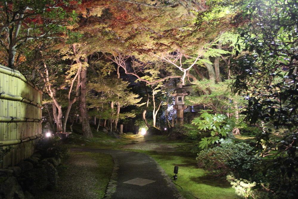 伝心庵 Garden Denshin-an * Quioto
