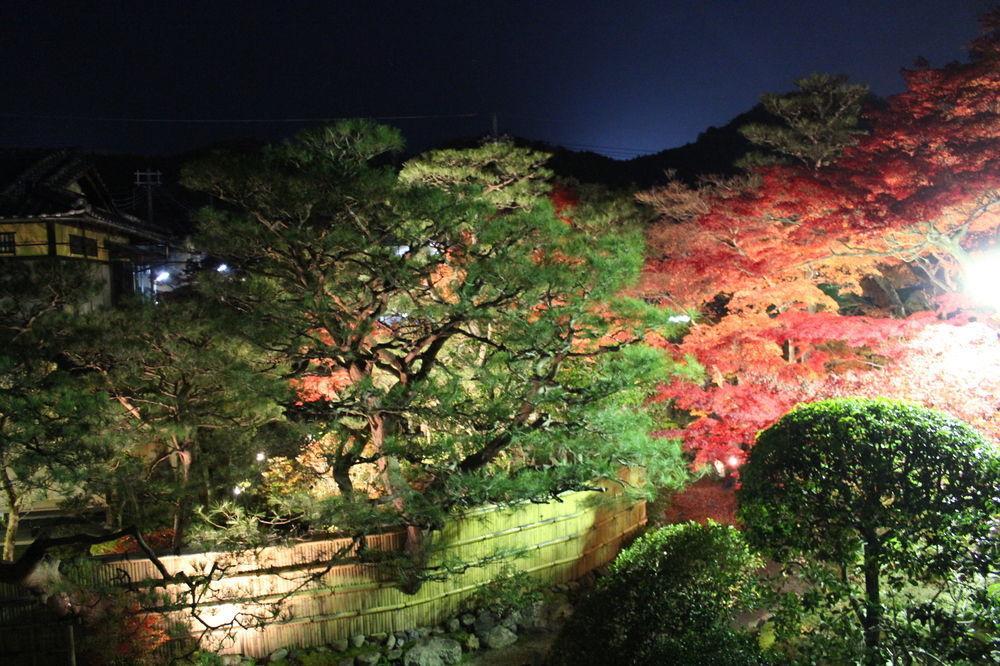 伝心庵 Garden Denshin-an Casa de férias *